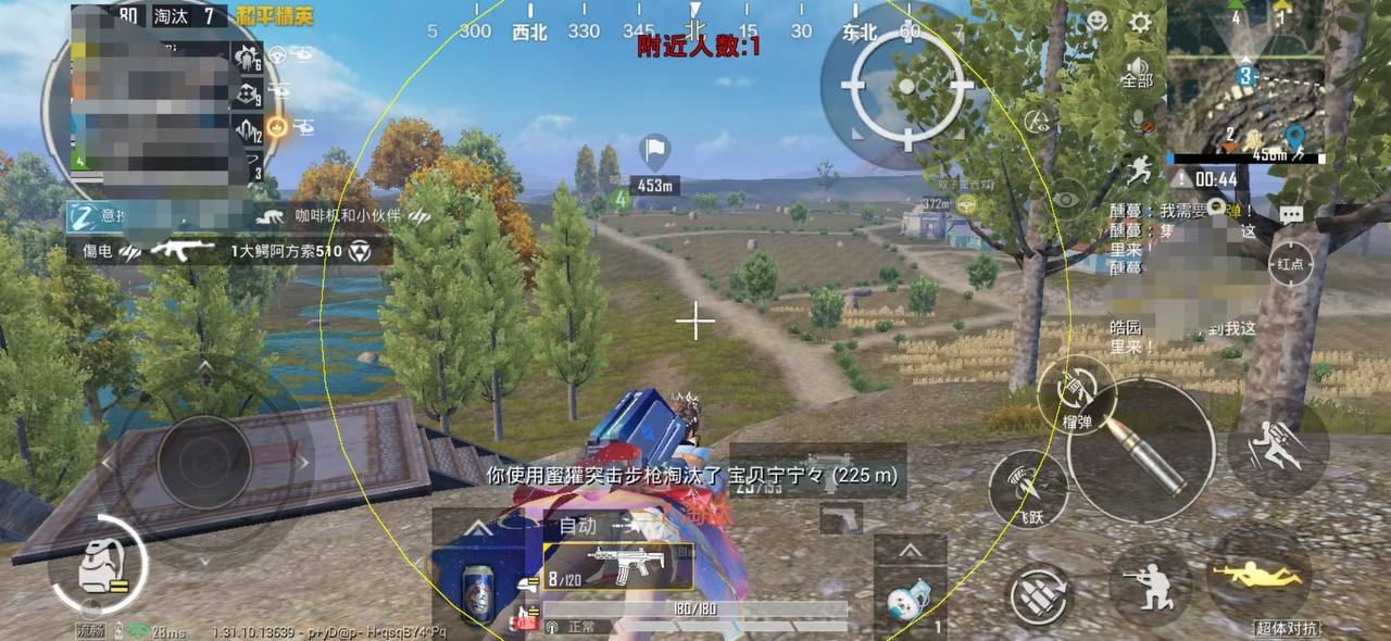 和平精英DDYS辅助